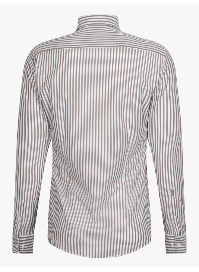 Cavallaro Shirt Compacto Stripe Dark Brown/White