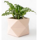 HOUSE RACCOON Palua Plantenpot – Large – Millennial pink