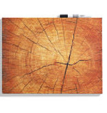 Whiteboard 'Tree trunk'
