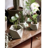 HOUSE RACCOON Mare Plantenpot – Large – silver green