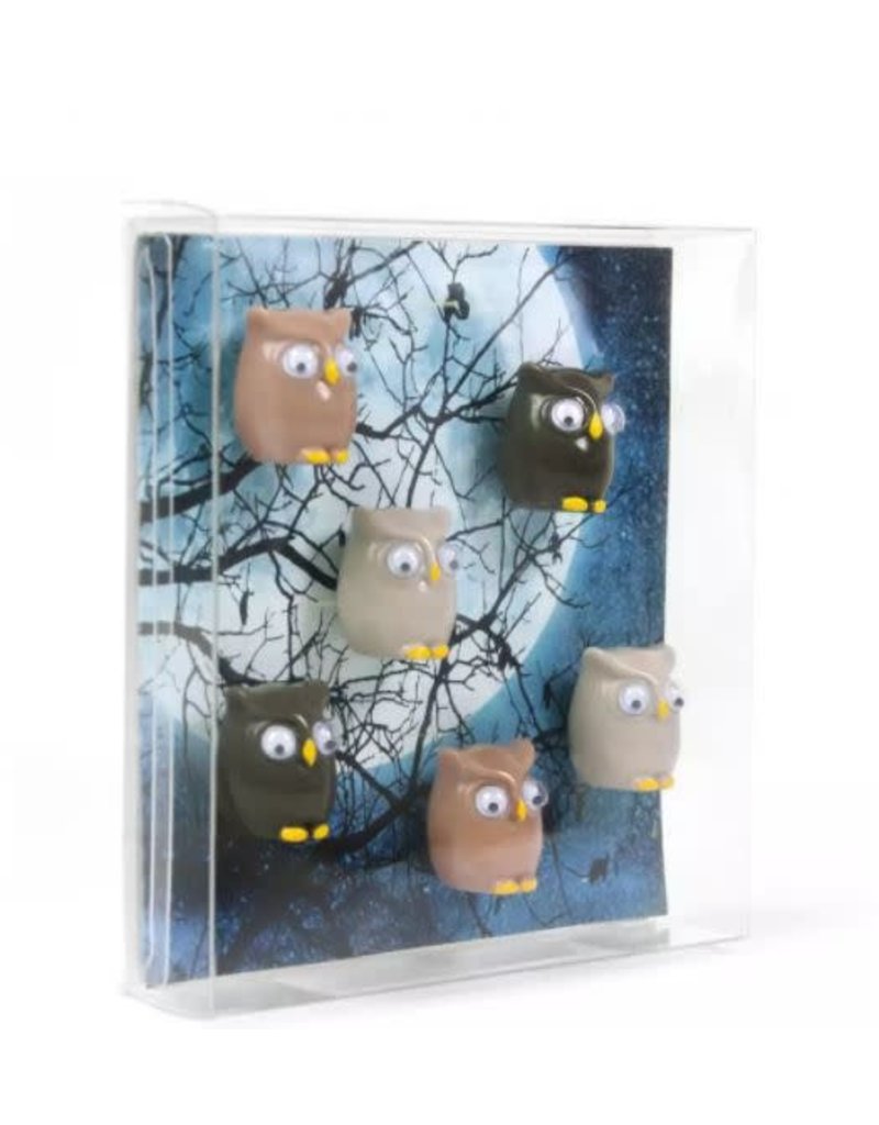 Trendform Magneten 'Owl'  - 6 stuks