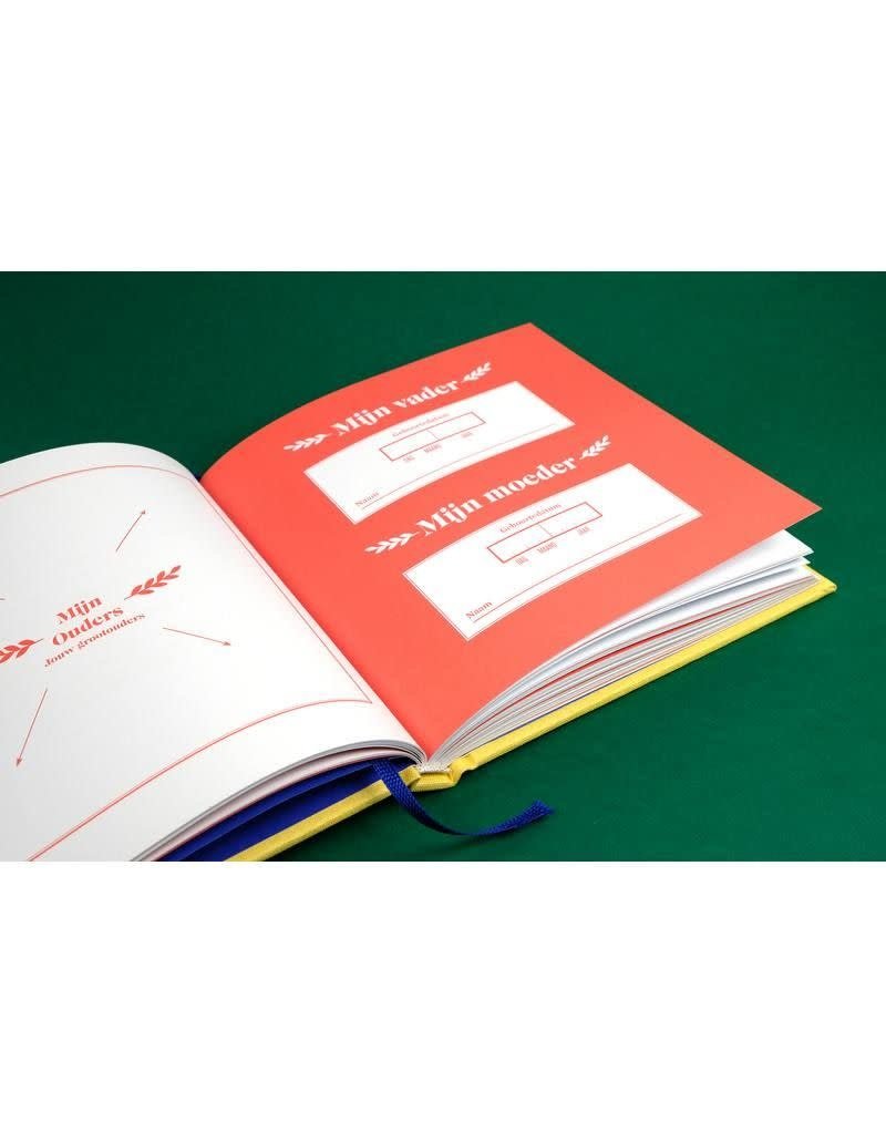 Stratier Invulboekje - PAPA - de wonderjaren