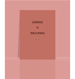 Studio 9 Wenskaart - Gepromoveerd tot meneer & mevrouw