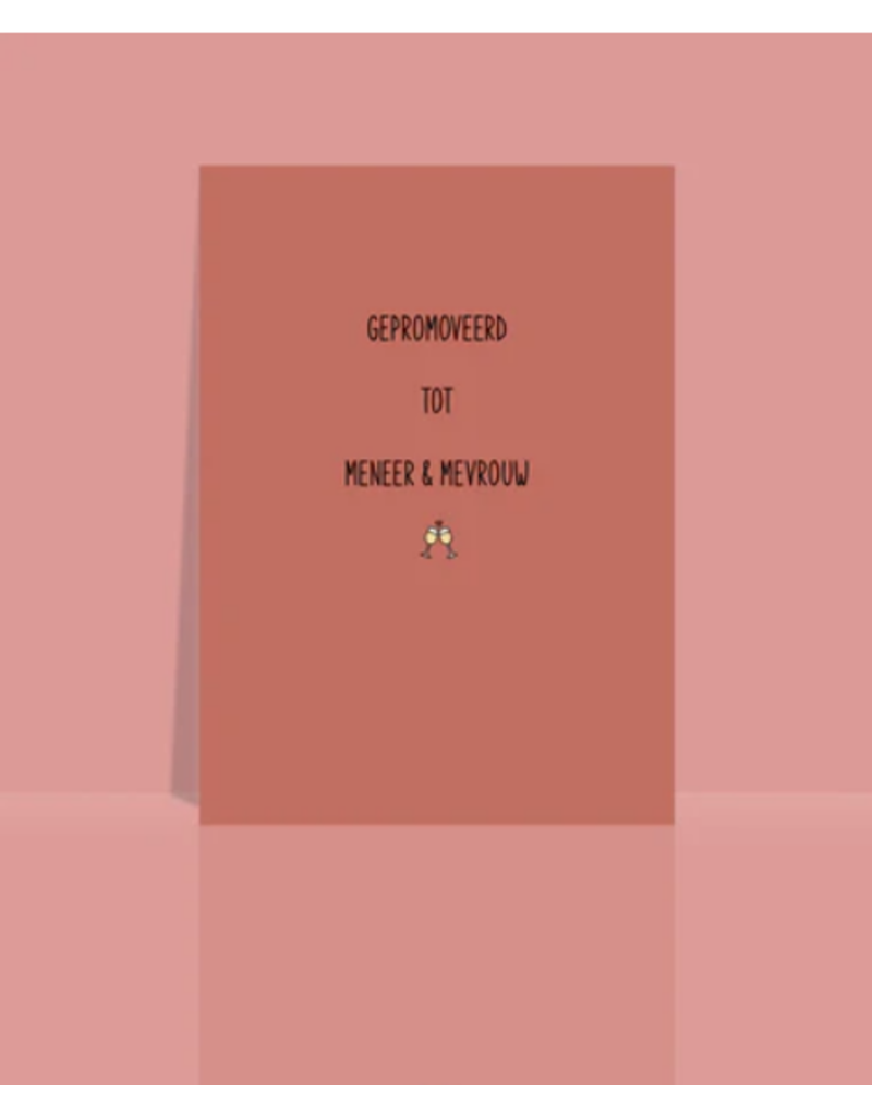 Studio 9 Wenskaart - Gepromoveerd tot meneer & mevrouw