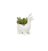 kikkerland Lloyd the Llama planter