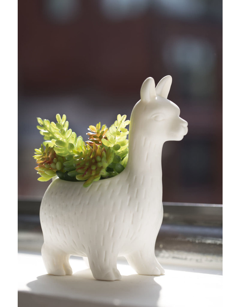 kikkerland Lloyd the Llama planter