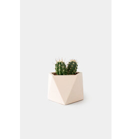 HOUSE RACCOON Mare Plantenpot – Large – Millennial pink