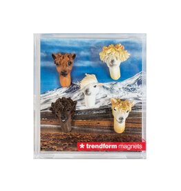 Trendform Magneten 'Alpaca' - 5 stuks
