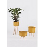 Handed by Basket Up - Low  - mustard