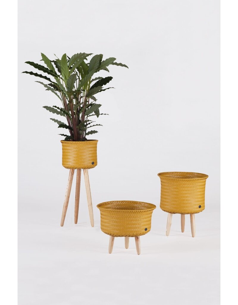Handed by Basket Up - Low  - mustard
