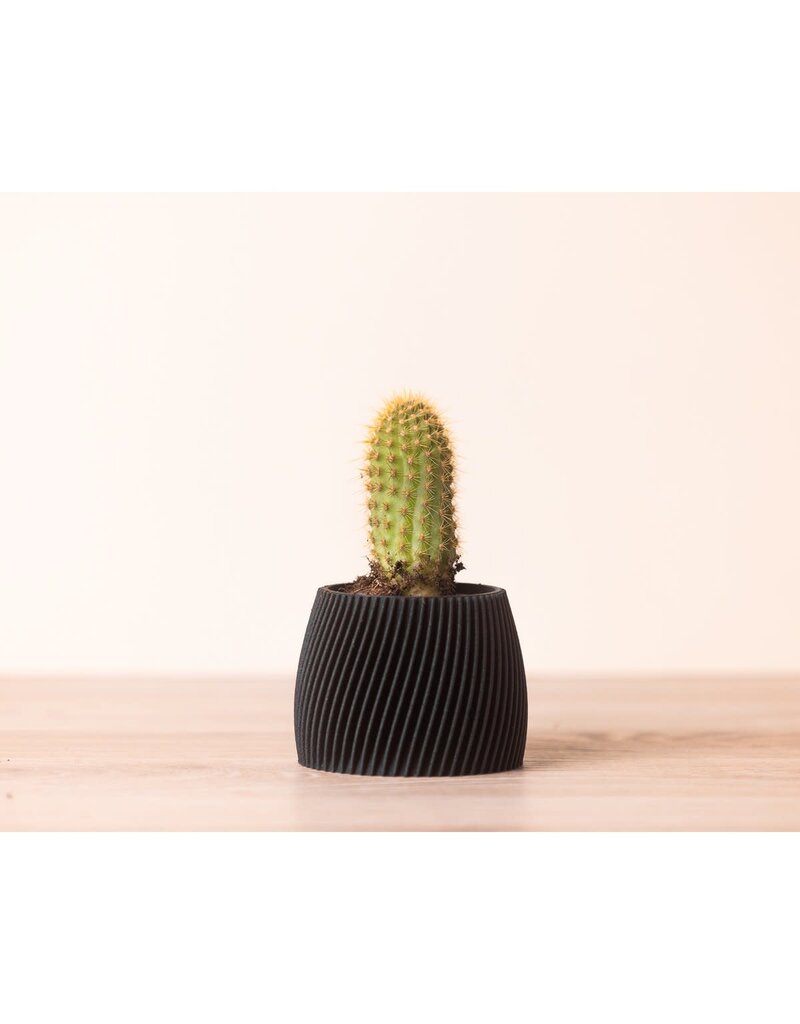 Copo Design Kleine bloempot in 3D print - hout en maïszetmeel - zwart