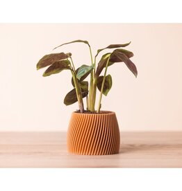 Copo Design Kleine bloempot in 3D print - hout en maïszetmeel - ceder