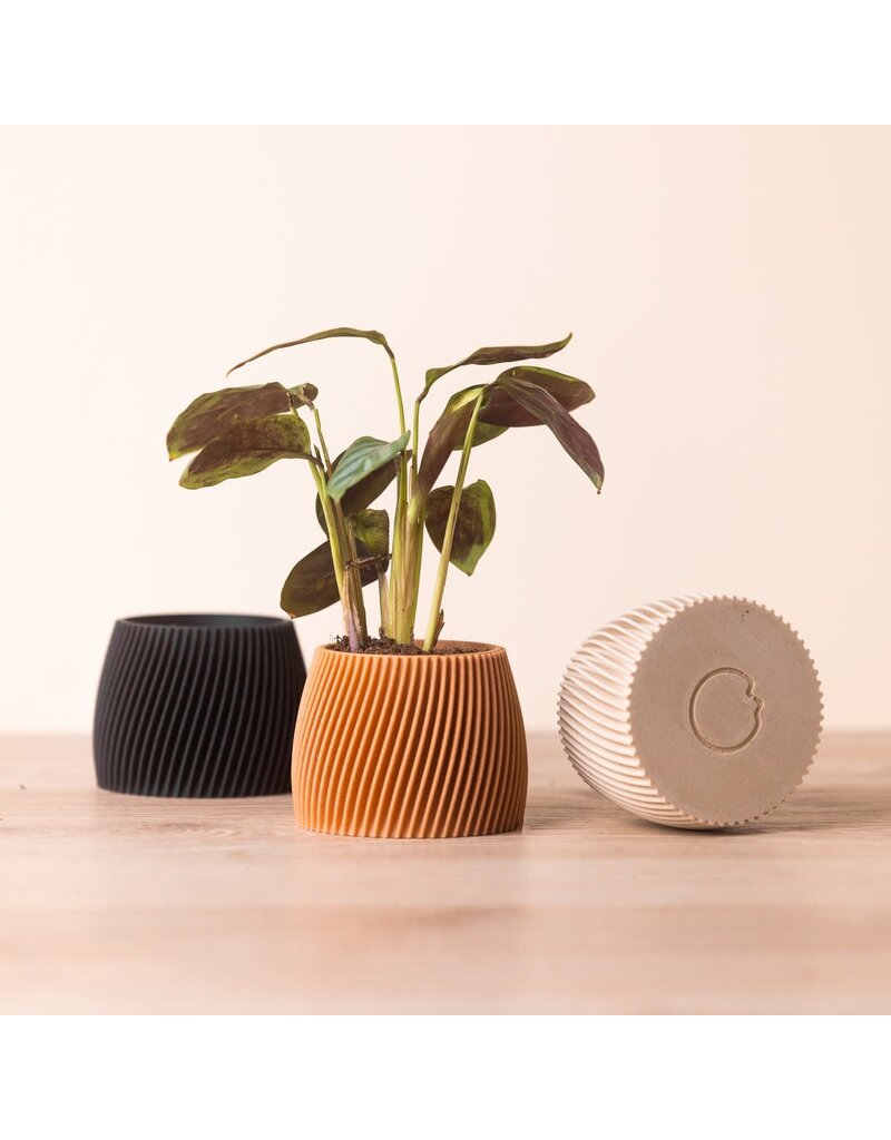 Copo Design Kleine bloempot in 3D print - hout en maïszetmeel - ceder