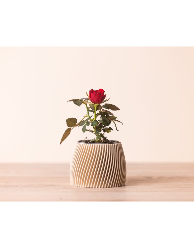 Copo Design Kleine bloempot in 3D print - hout en maïszetmeel - beige