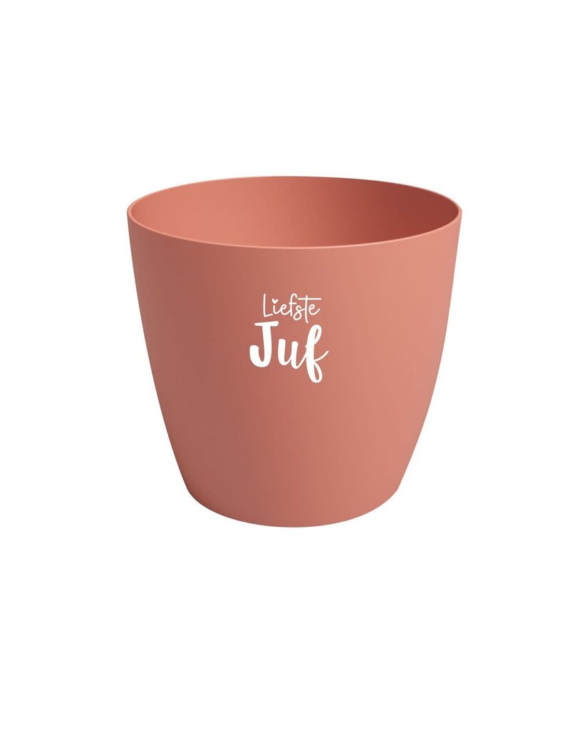 Sproetiz Bloempotje 'Liefste juf' - terra