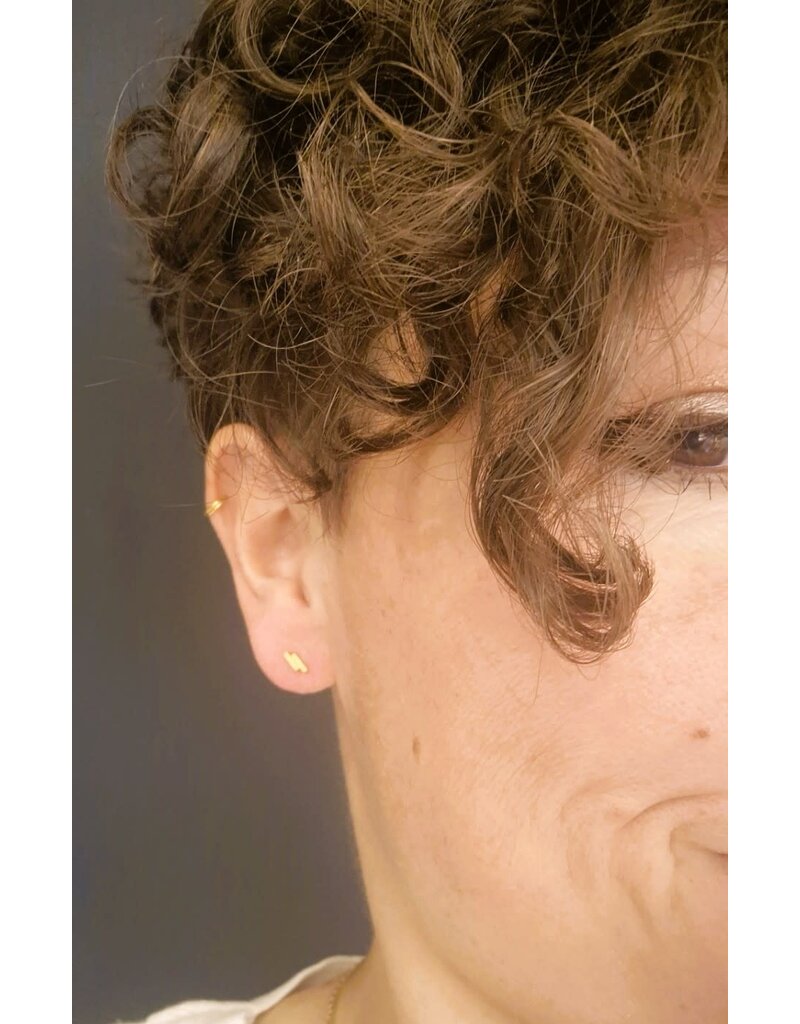 Katwalk Zilver Verguld zilver oorstekers - 2 kleine staafjes mini