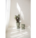 Handed by Basket Twist  - medium -  Matcha green
