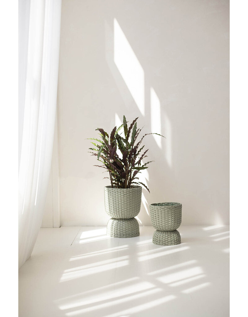 Handed by Basket Twist  - medium -  Matcha green