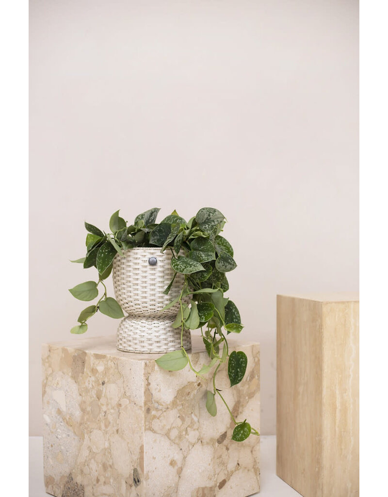 Handed by Basket Twist  - small - Champagne