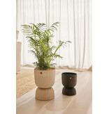 Handed by Basket Twist  - medium -  Champagne