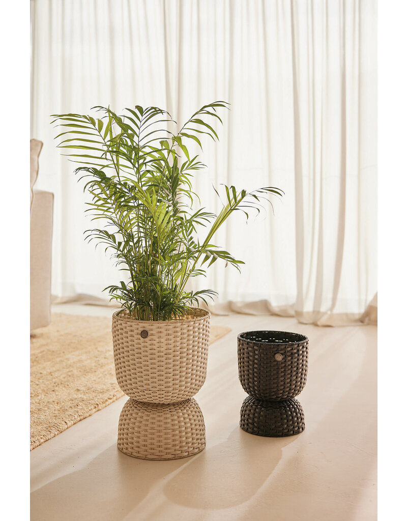 Handed by Basket Twist  - medium -  Champagne