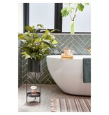 Mica Decorations Colyn Bloempot op standaard - H60 x Ø19 cm - IJzer - Zwart
