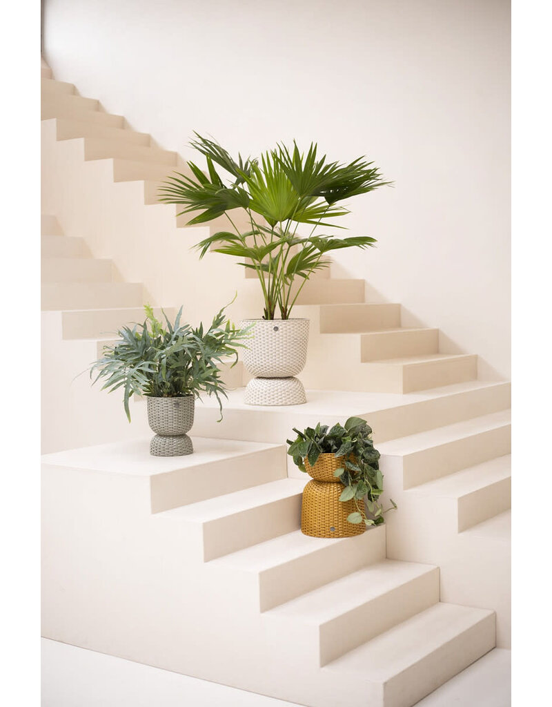 Handed by Basket Twist  - small -  ochre yellow