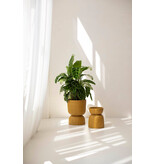 Handed by Basket Twist  - small -  ochre yellow