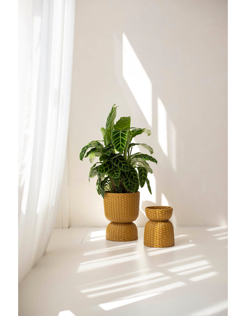 Handed by Basket Twist  - small -  ochre yellow