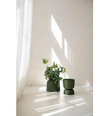 Handed by Basket Twist  - small - Hunting green