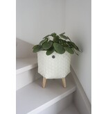 Handed by Dimensional Basket ecru white