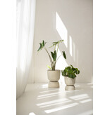 Handed by Basket Twist  - large - Champagne