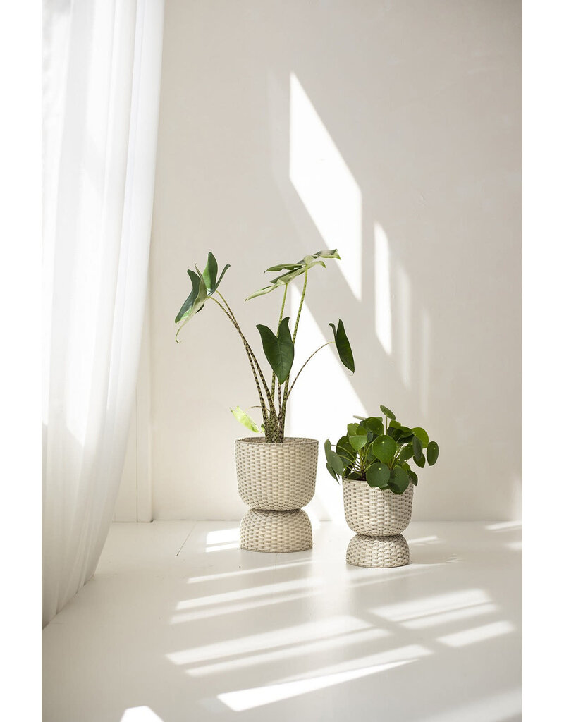 Handed by Basket Twist  - large - Champagne