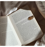 kikkerland Set van 4 magneetjes 'Cat paw'