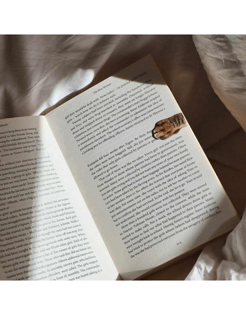 kikkerland Set van 4 magneetjes 'Cat paw'