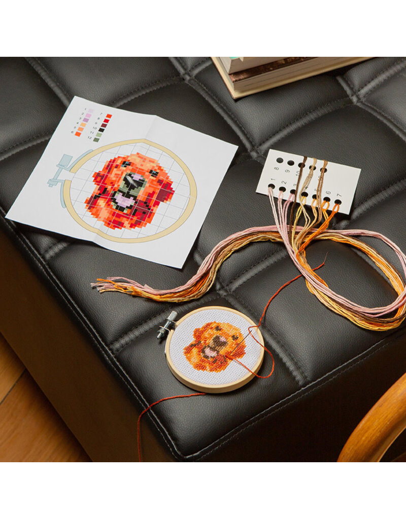 kikkerland Mini cross-stitch naai-setje - Dog