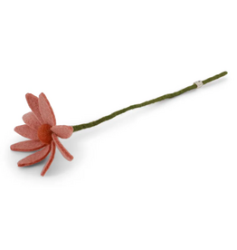 Gry & Sif Cosmos Flower - Light Peach