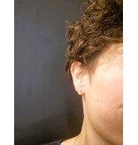 Katwalk Zilver Verguld zilver oorstekers - kleine draai