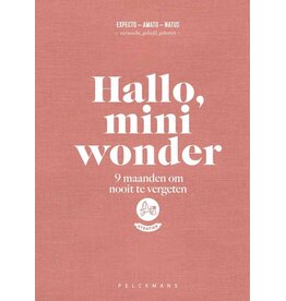 Stratier Invulboek - 'Hallo, mini wonder' - 9 maanden om nooit te vergeten