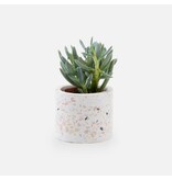 Amato Gifts Terrazzo bloempotje wit (zonder plantje)