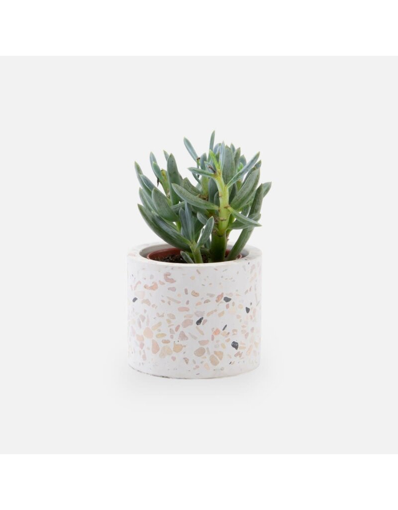 Amato Gifts Terrazzo bloempotje wit (zonder plantje)