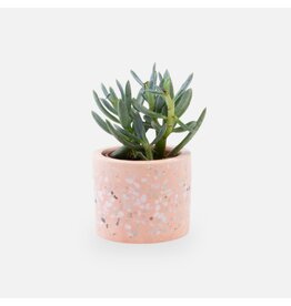 Amato Gifts Terrazzo bloempotje roze (zonder plantje)