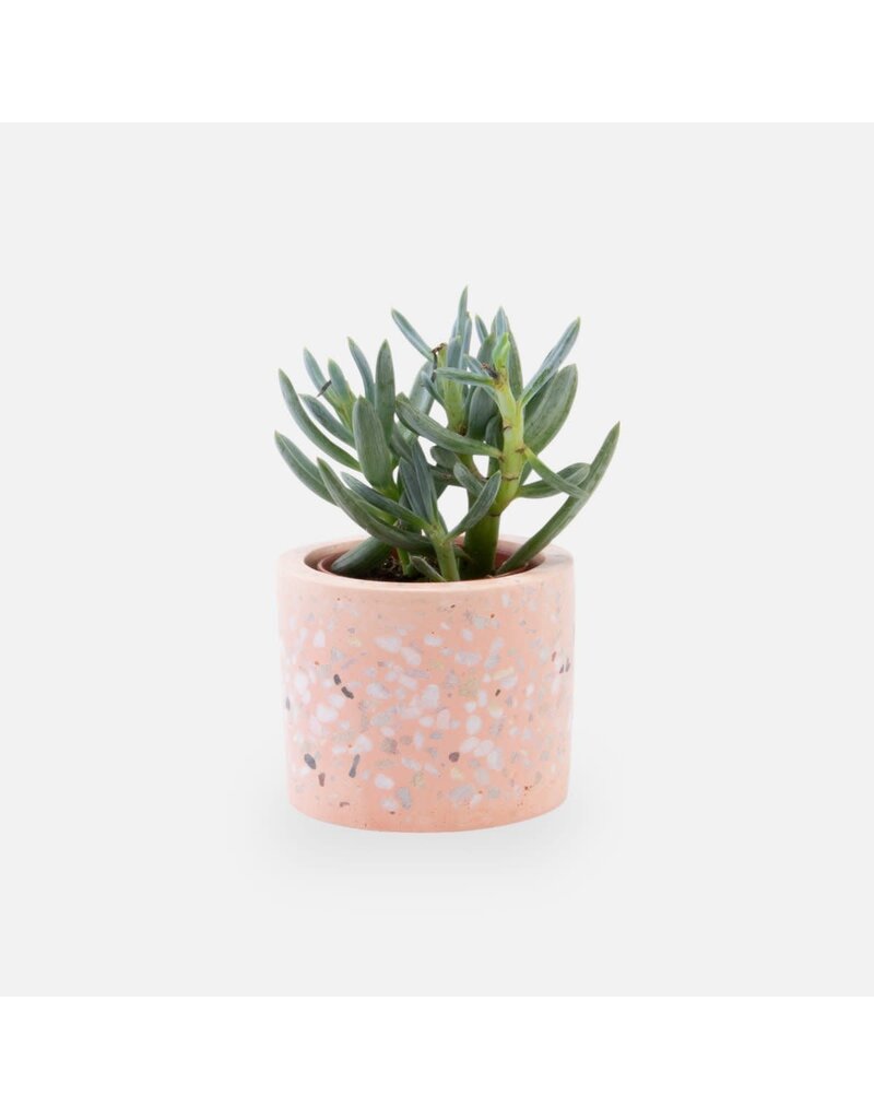 Amato Gifts Terrazzo bloempotje roze (zonder plantje)