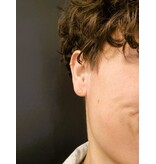 Katwalk Zilver Verguld zilver oorsteker -bloemetjes trio