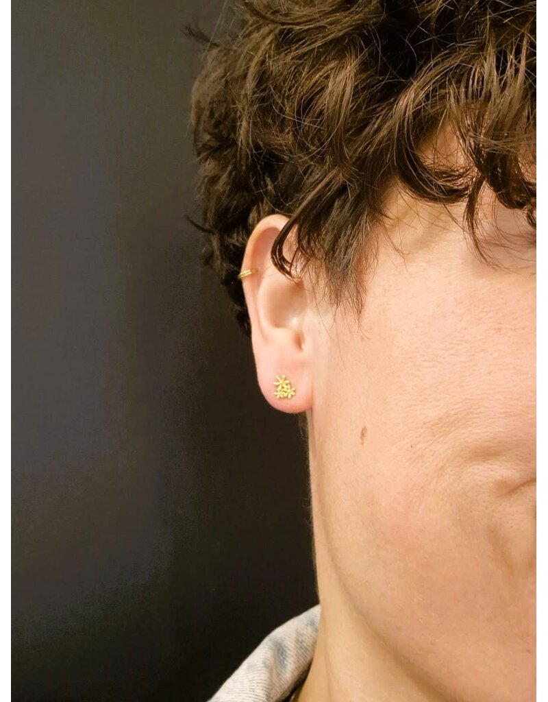 Katwalk Zilver Verguld zilver oorsteker -bloemetjes trio