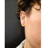 Katwalk Zilver Verguld zilver oorstekers - draaikolk