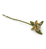Gry & Sif Muntgroene bloemen op takje - 34 cm