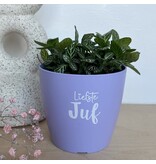 Sproetiz Bloempotje 'Liefste juf' - lila (zonder plantje)