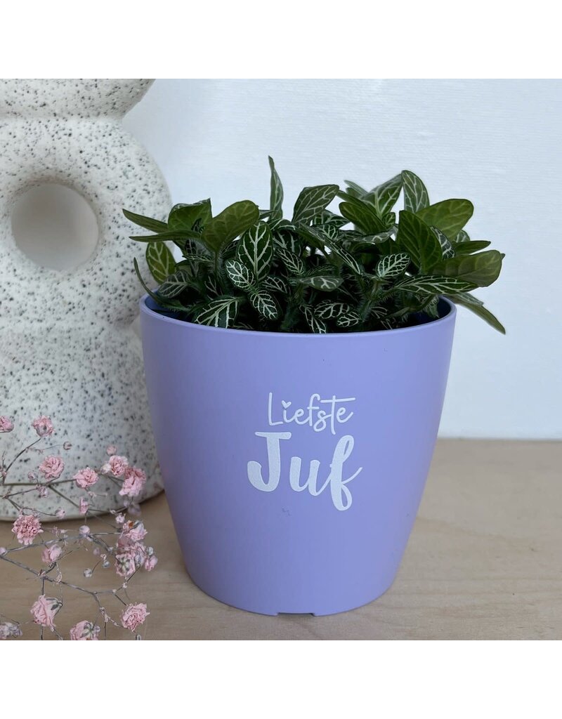 Sproetiz Bloempotje 'Liefste juf' - lila (zonder plantje)