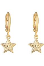 Oorbellen star - goud